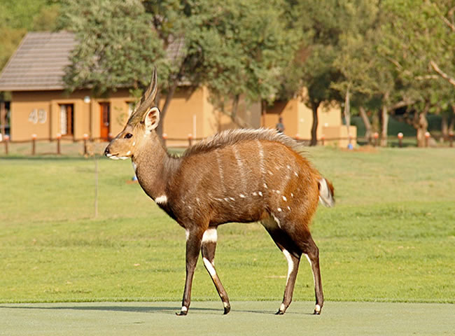 Magaliespark North West